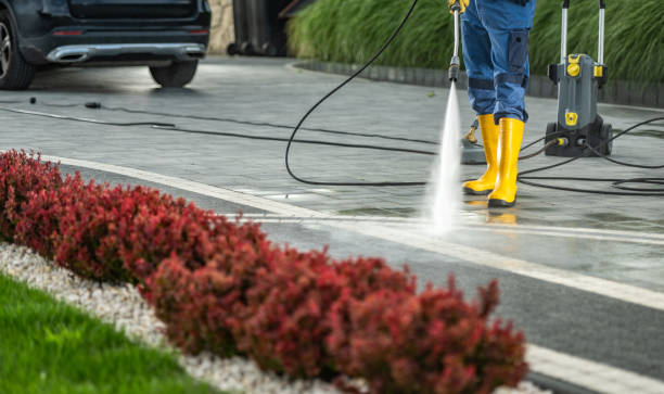 Professional  Pressure Washing in Winona, MS